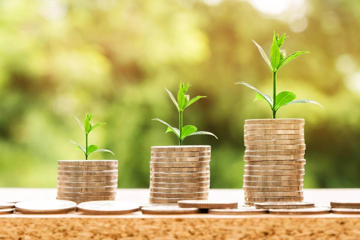 A picture of three stacks of gold coins, each with a green seedling growing out of the top of the stack. The stacks grow from left to right. The left stack is the shortest, the right the tallest. The image is meant to represent how to capitalize your business for growth.