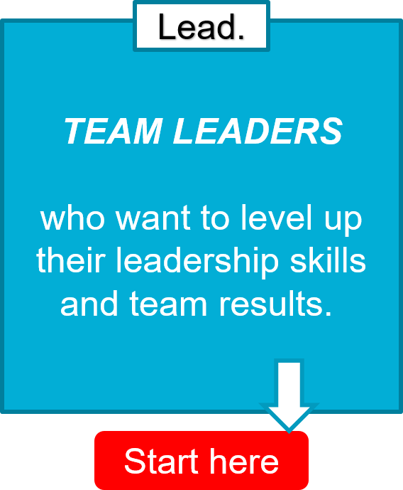 Business coach Dave Labowitz helps team leaders who want to level up their leadership skills and team results LEAD their teams.